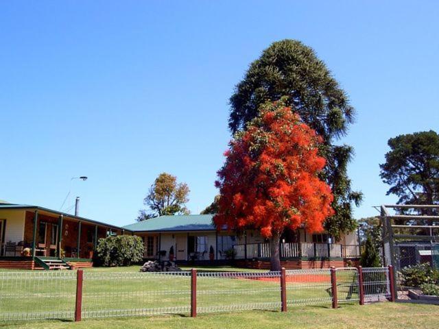 Snowy River Homestead Newmerella Exterior foto
